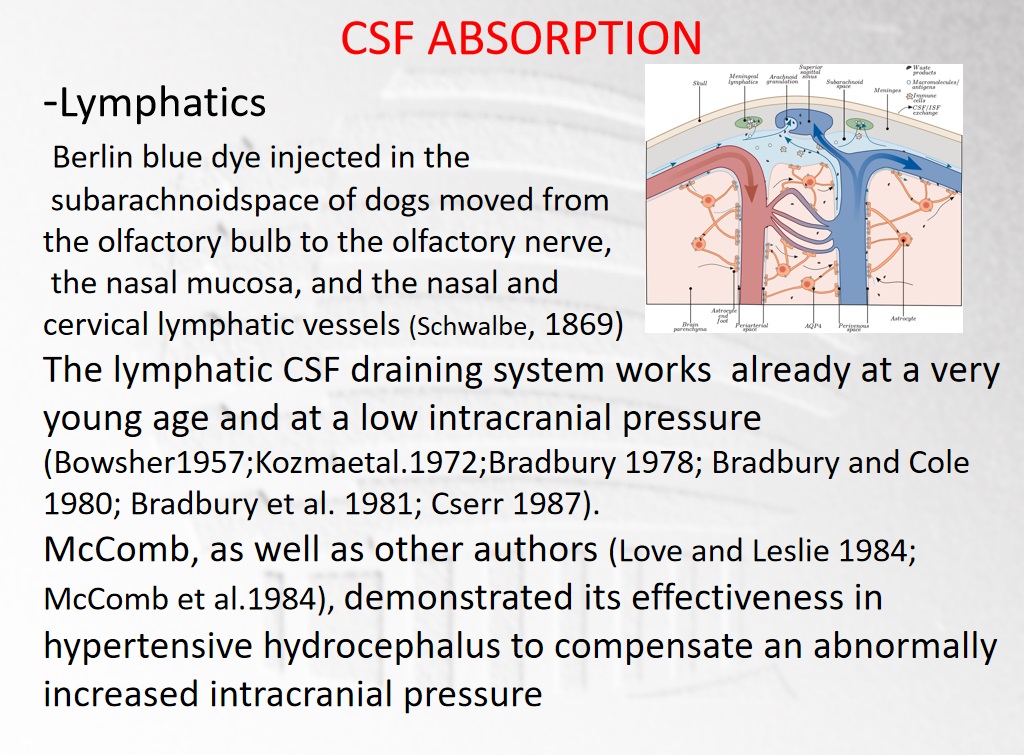 脑脊液的流动没有任何屏障