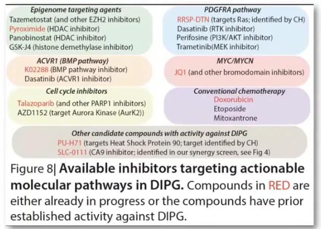 图8:针对DIPG中可操作分子途径的可用抑制剂。RED中的化合物要么已经在进行中，要么这些化合物已经对DIPG具有预先确定的活性。
