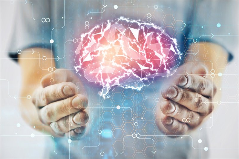 双侧脉络丛头部囊性占位