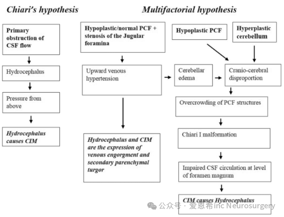 【INC国际大咖研究成果】小脑扁桃体下疝 I 型畸形与脑积水