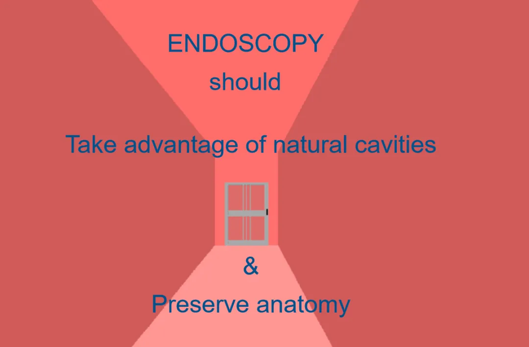 在手术策略上，福教授将蝶窦前壁形象地比喻为"门户"。在打开这扇"门"进入蝶窦之前，必须严格保持鼻腔结构的完整性。一旦通过这扇"门户"，福教授就能灵活运用角度镜在蝶窦内进行多方位（包括上方、下方及侧方等）的精准手术操作。