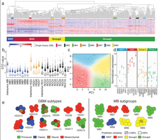 图1 髓母细胞瘤（但非胶质母细胞瘤）显示出可靠的基于转录组的亚组预测。