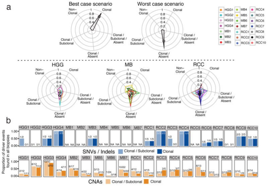 图4 遗传上不同的克隆谱系在空间分离的活检样本之间产生开启/关闭突变模式。