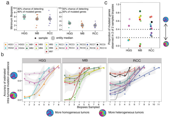 图5 肿瘤实体间遗传异质性的定量分析。 