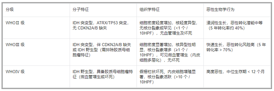 表 1 弥漫性星形细胞瘤的 WHO 分级标准(2021 版)​
