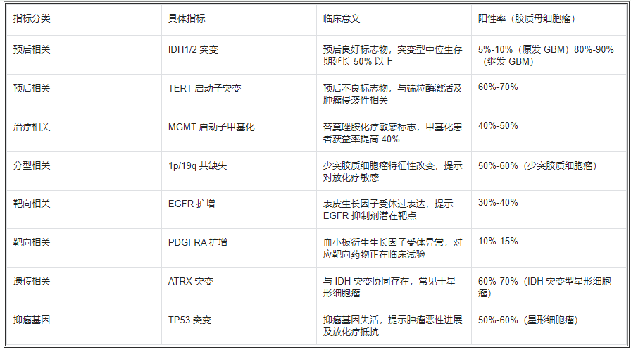 胶质瘤基因检测