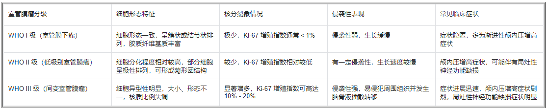 间变室管膜瘤的分级体系