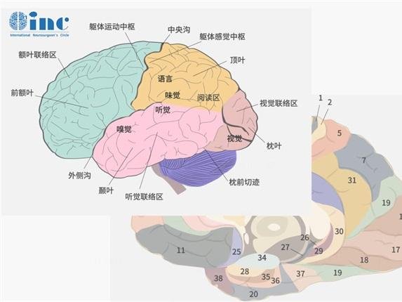 斜坡占位手术严重吗多少钱？