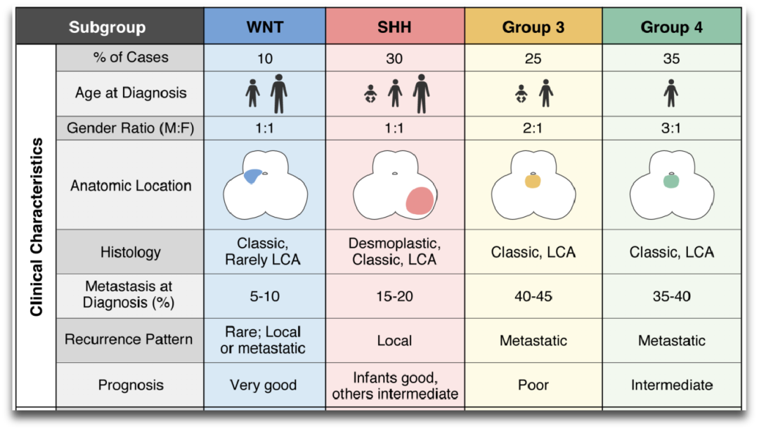 Rutka教授认为治疗的第一步是进行基因检测，得出准确的分子基因型及亚型，可为手术切除范围提供依据，减少对患儿进行过度的切除。