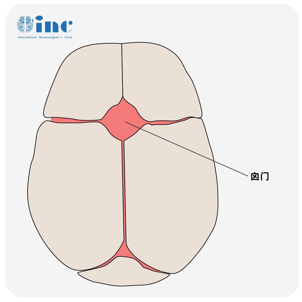 囟门