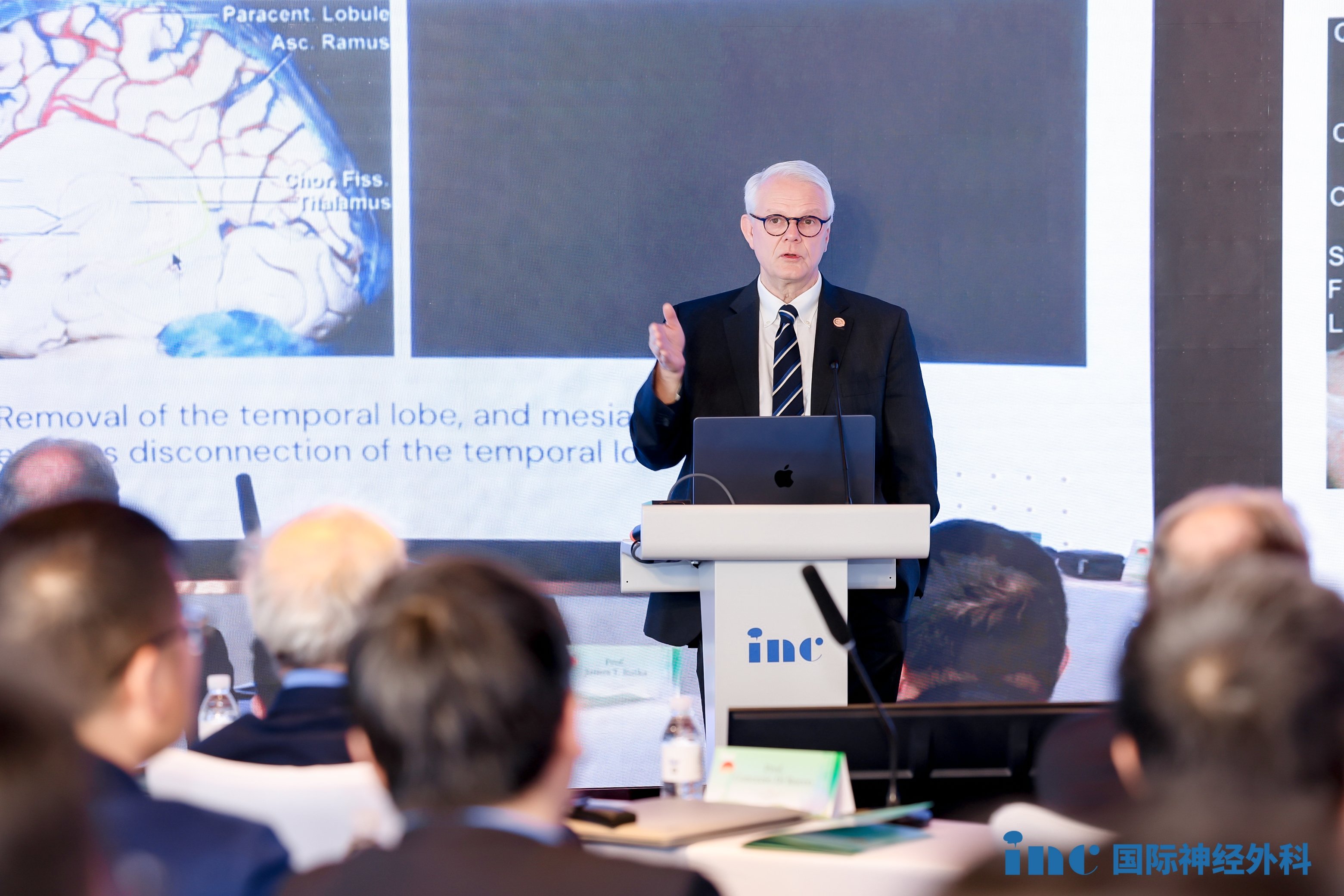 【INC国际大咖研究成果】髓母细胞瘤的空间异质性