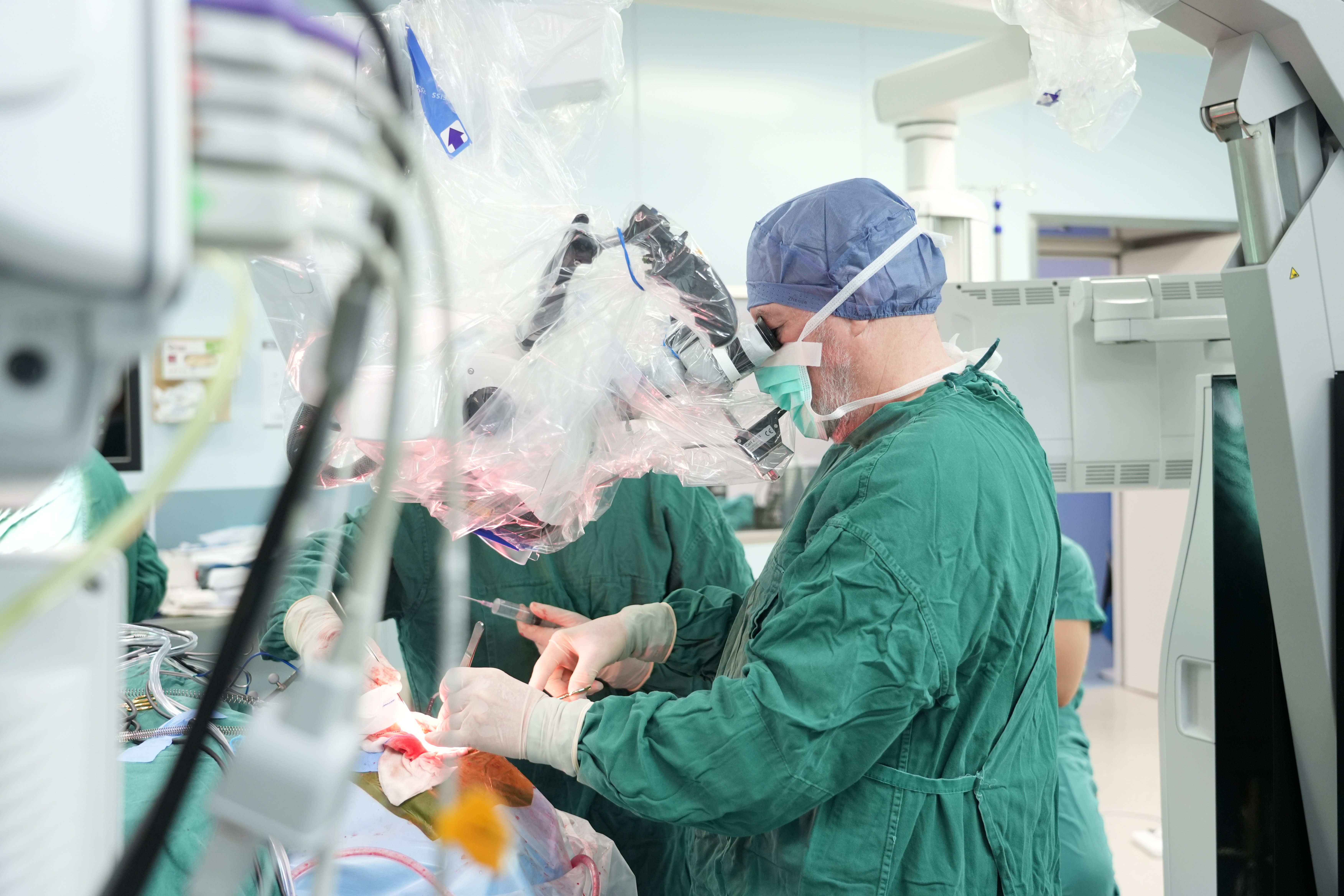 Helmut Bertalanffy(巴特朗菲)教授