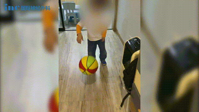 在聪聪的新生活中，他喜欢上了攀爬和打篮球。