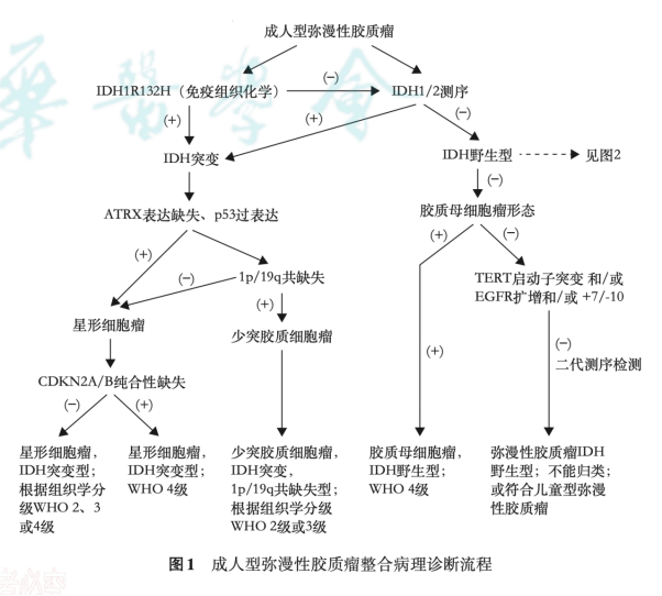 脑胶质瘤分子整合病理诊断流程