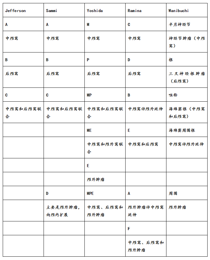 表1描述三叉神经鞘瘤的不同分类。
