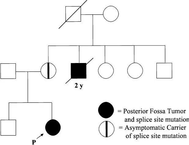 显示了一个家族两代人中出现后颅窝肿瘤的系谱图，其中存在一位未受影响的携带者。