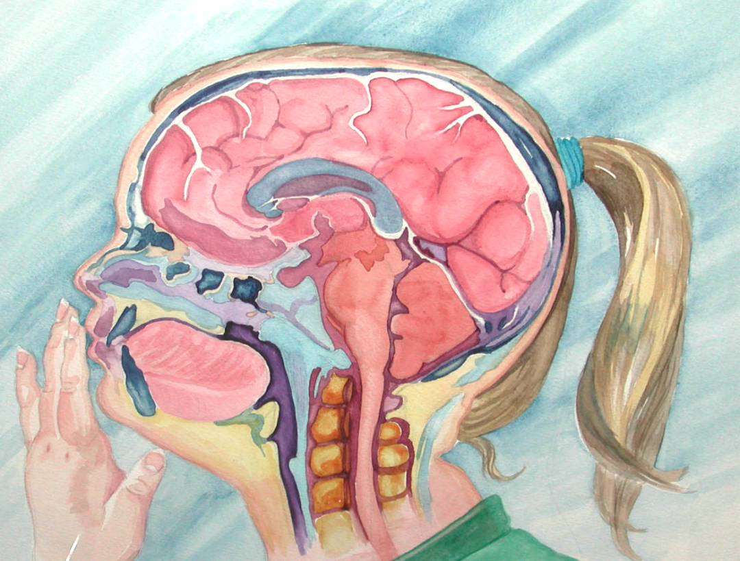 暖心！一幅来自8岁颅咽管瘤小患者的手绘画，满满的都是感谢！