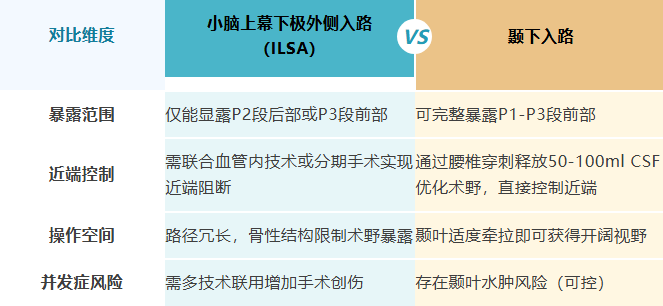手术入路对比研究