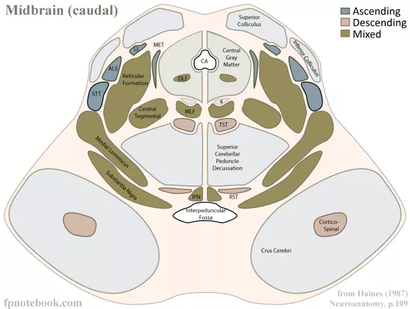 同时，操作空间极其狭小精密，任何细微损伤都可能引发灾难性后果。