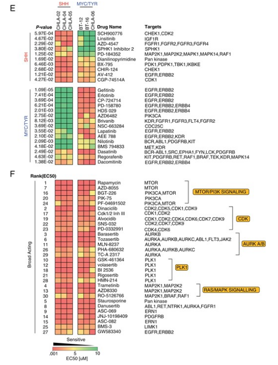 图 1 各亚组特异及广谱激酶抑制剂反应
