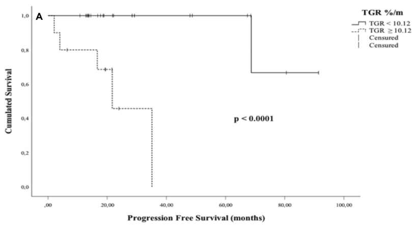 Kaplan-Meier 法绘制的无进展生存（PFS）曲线