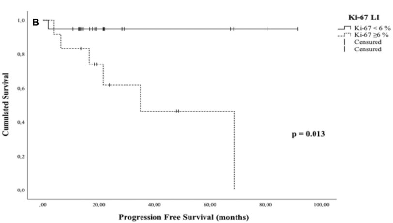 Kaplan-Meier 法绘制的无进展生存（PFS）曲线