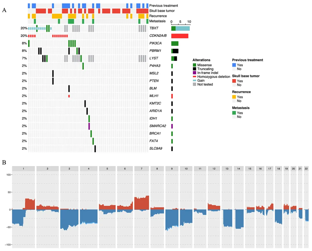 图示：通过WES或NGS分析60个脊索瘤样本的分子结果(A)，代表脊索瘤的基因驱动事件。