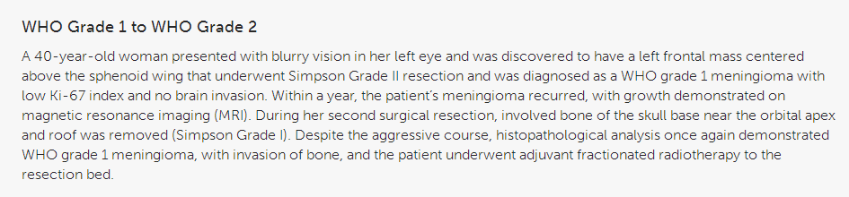 案例原文报告截图