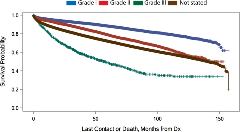 图2：WHO分级生存情况(p<0.001)