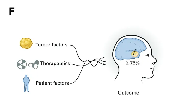 （F）多因素交互效应模型：显示切除范围≥75%可带来生存获益。