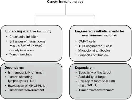 【INC国际大咖研究成果】儿童脑肿瘤免疫治疗的临床前模型：障碍与前进的方向