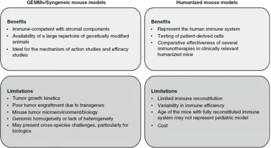PBT免疫治疗临床前小鼠模型的优点与局限性。