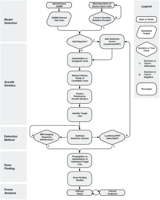 临床前模型决策流程示意图