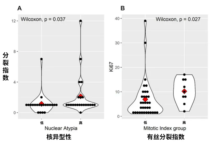 图4.脊索瘤主要组织学预后标志物间的统计学关系