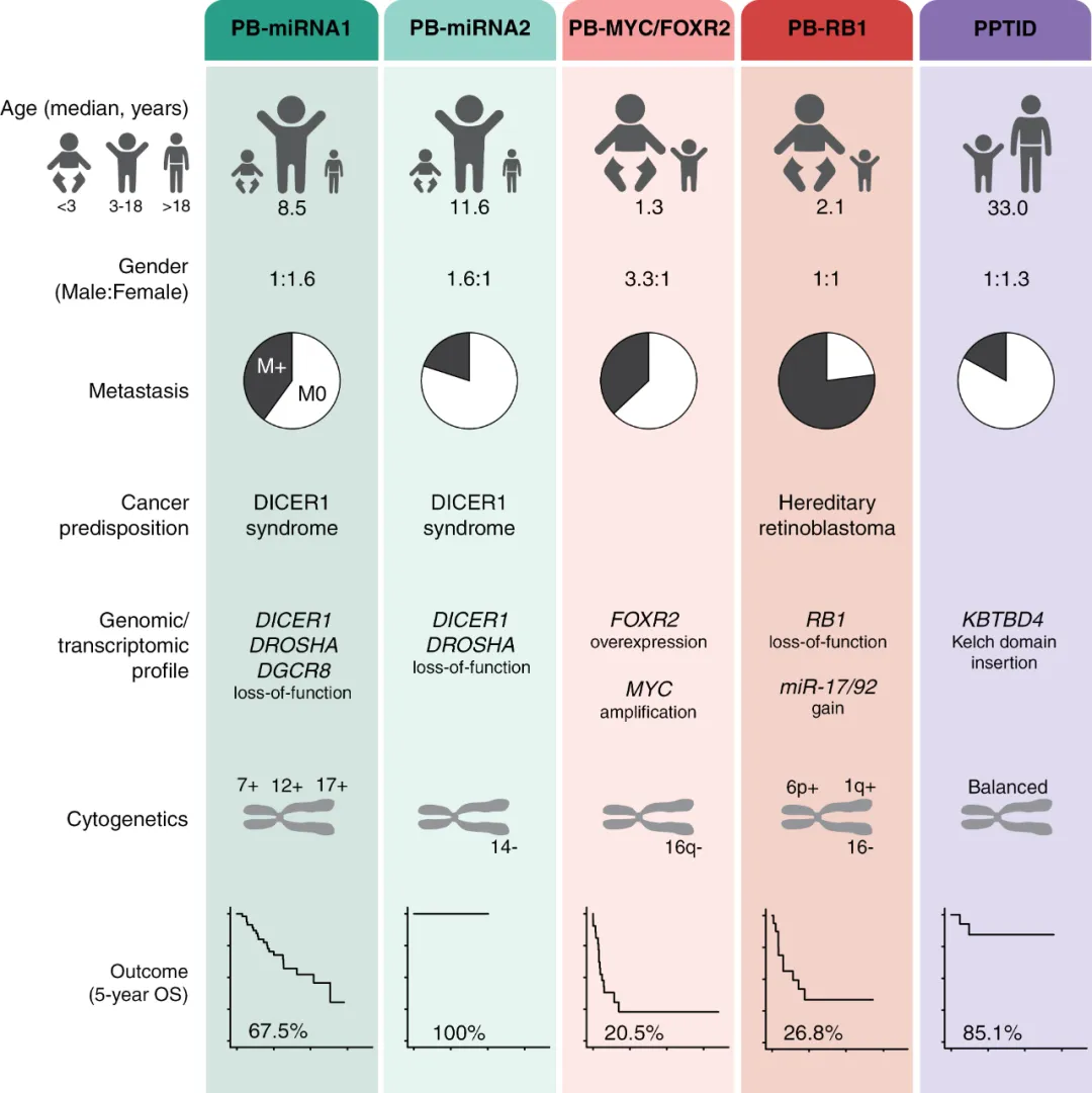 松果体母细胞瘤亚型和中分化松果体实质肿瘤的人口学、临床和基因组特征