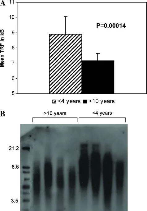 （1）PLGG的端粒维护缺失