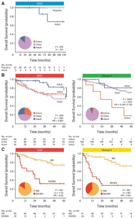 【INC国际大咖研究成果】髓母细胞瘤亚群内的细胞遗传学预后判断