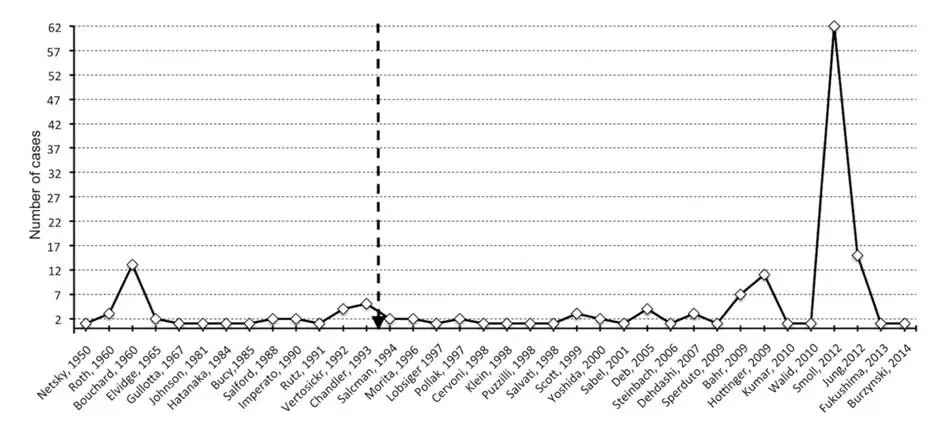 从15个月到10年以上的希望：探索胶质母细胞瘤长期生存者的特点