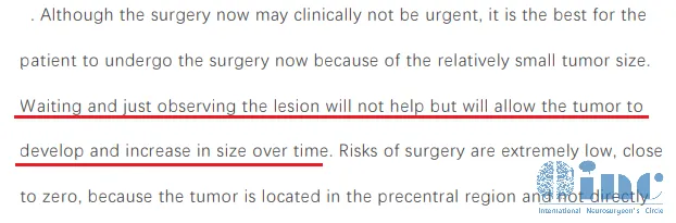 巴教授咨询报告部分截图