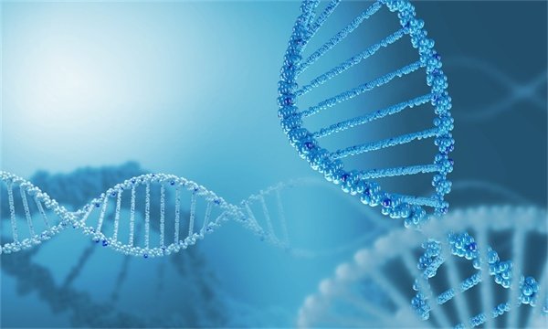 左侧顶叶囊肿是什么病变需要手术吗？
