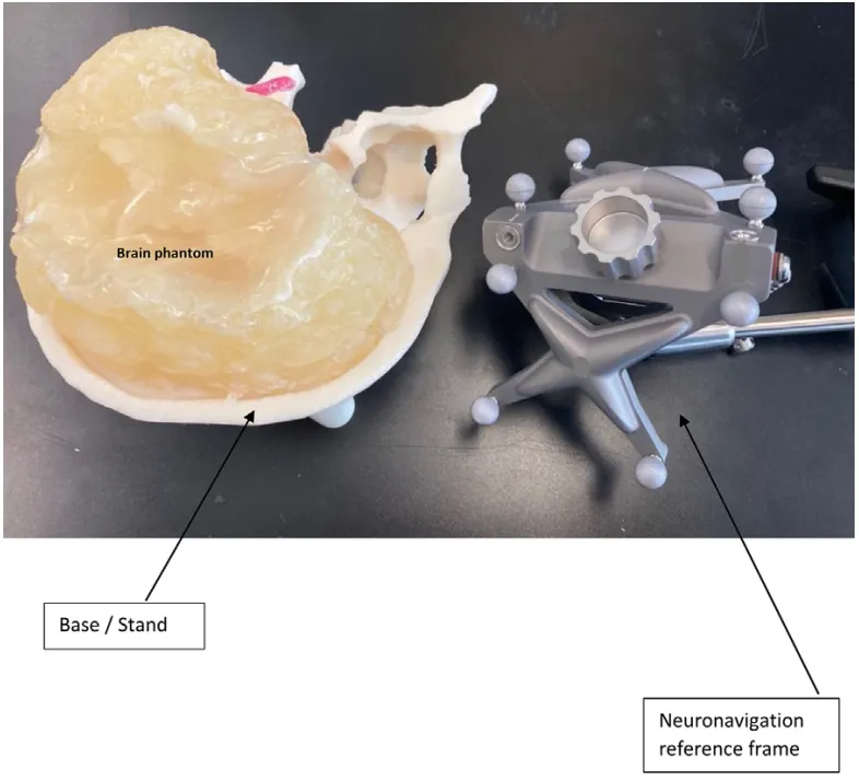 图1：半球切除术模拟器与神经导航参考框架。