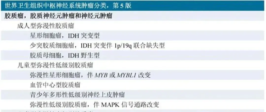2021年中枢神经系统WHO分类
